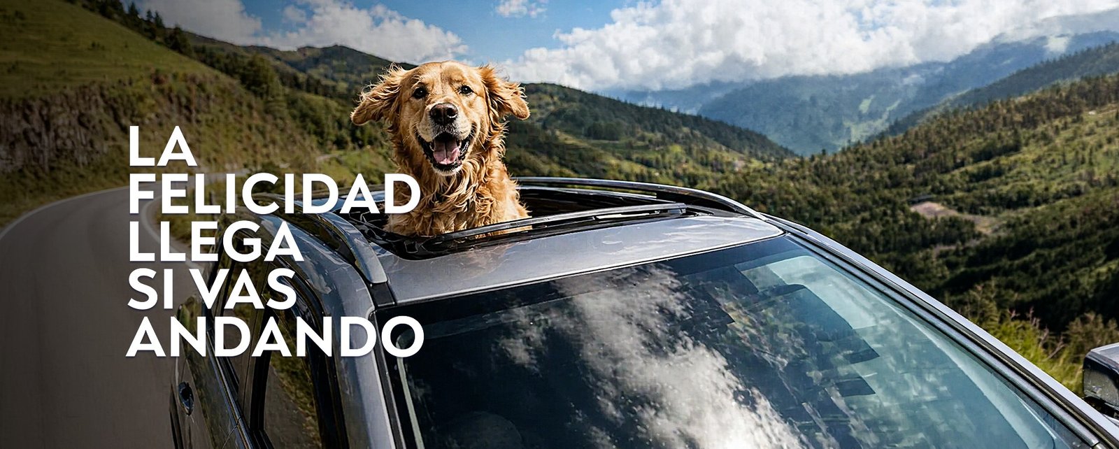 La felicidad llega si vas andando - Grecco Motors